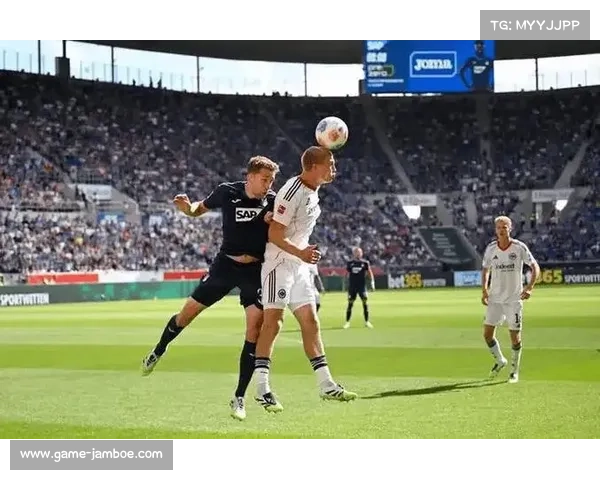 霍芬海姆主场强势，勒沃库森伤病潮成隐忧